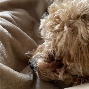 Meet your Posher, Maritza